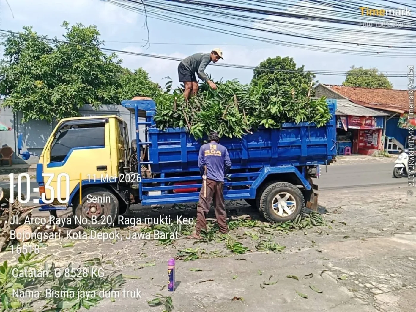 Truk biru mengangkut potongan ranting dan sampah daun